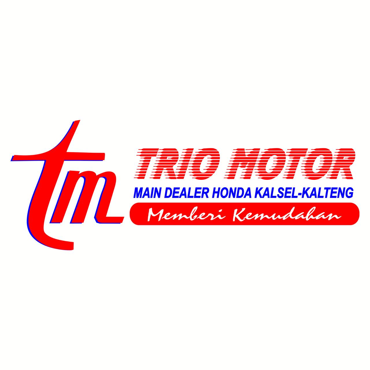 Trio Motor