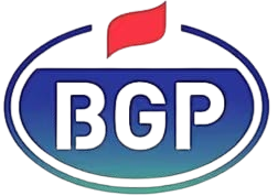 PT. Bgp Indonesia